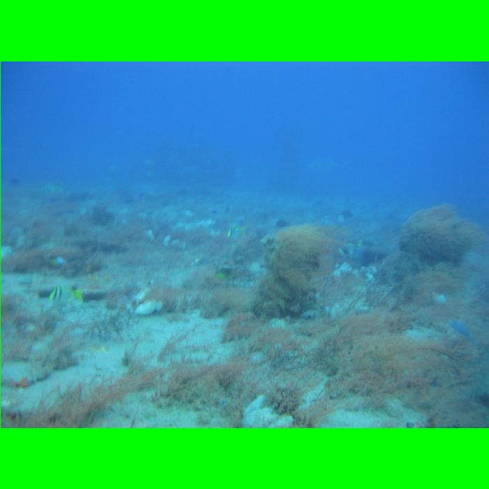 Dive WP Wrecks 25-Oct-09_417.JPG